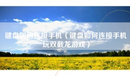 键盘如何连接手机（键盘如何连接手机玩双截龙游戏）