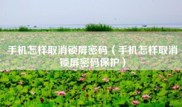 手机怎样取消锁屏密码（手机怎样取消锁屏密码保护）