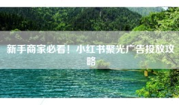 新手商家必看！小红书聚光广告投放攻略