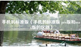 手机的标准版（手机的标准版 pro版和max版的区别）