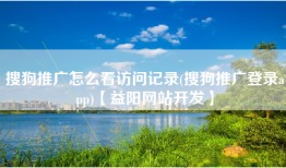 搜狗推广怎么看访问记录(搜狗推广登录app)【益阳网站开发】