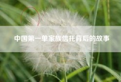 中国第一单家族信托背后的故事