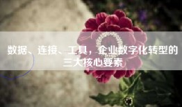 数据、连接、工具，企业数字化转型的三大核心要素