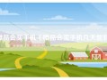 唯品会买手机（唯品会买手机几天能到）