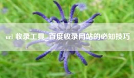 url 收录工具_百度收录网站的必知技巧