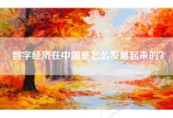 数字经济在中国是怎么发展起来的？