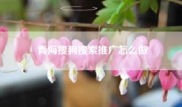青海搜狗搜索推广怎么做