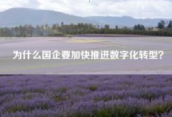 为什么国企要加快推进数字化转型？