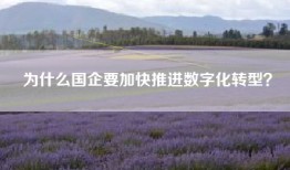 为什么国企要加快推进数字化转型？