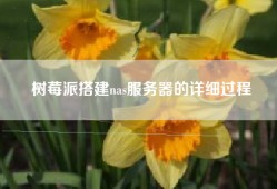 树莓派搭建nas服务器的详细过程