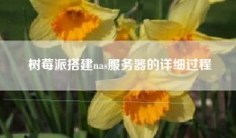 树莓派搭建nas服务器的详细过程