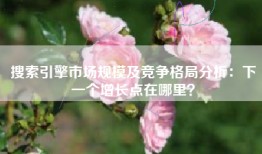 搜索引擎市场规模及竞争格局分析：下一个增长点在哪里？