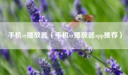 手机vr播放器（手机vr播放器app推荐）