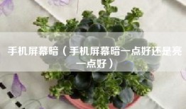 手机屏幕暗（手机屏幕暗一点好还是亮一点好）