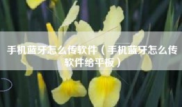 手机蓝牙怎么传软件（手机蓝牙怎么传软件给平板）
