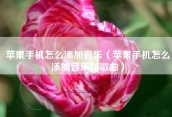 苹果手机怎么添加音乐（苹果手机怎么添加音乐和歌曲）