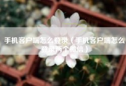 手机客户端怎么登录（手机客户端怎么登录两个微信）