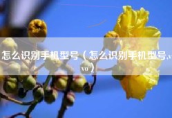 怎么识别手机型号（怎么识别手机型号,vivo）