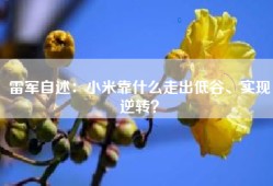雷军自述：小米靠什么走出低谷、实现逆转？