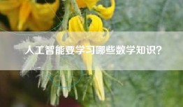 人工智能要学习哪些数学知识？