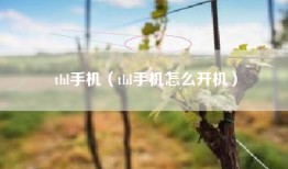 thl手机（thl手机怎么开机）