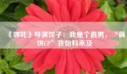 《哪吒》导演饺子:我是个直男,“藕饼CP”我始料未及