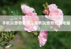 手机玩奥奇传说（手机玩奥奇传说电脑版）