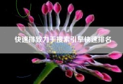 快速排致力于搜索引擎快速排名