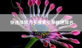 快速排致力于搜索引擎快速排名