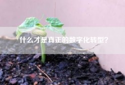 什么才是真正的数字化转型？