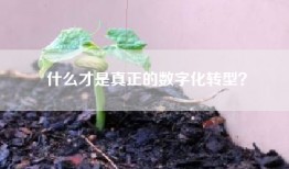 什么才是真正的数字化转型？
