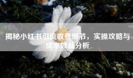 揭秘小红书引流收费细节，实操攻略与成本效益分析