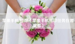 苹果手机 打印（苹果手机打印任务在哪里看）