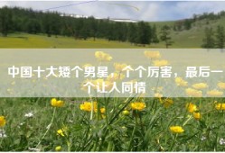 中国十大矮个男星，个个厉害，最后一个让人同情