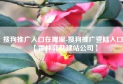 搜狗推广入口在哪里-搜狗推广登陆入口【霍林郭勒建站公司】