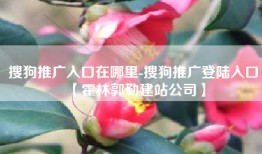 搜狗推广入口在哪里-搜狗推广登陆入口【霍林郭勒建站公司】