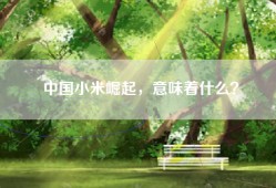 中国小米崛起，意味着什么？