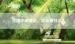 中国小米崛起，意味着什么？