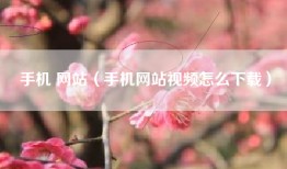 手机 网站（手机网站视频怎么下载）