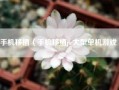手机移植（手机移植pc大型单机游戏）