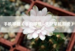 手机移植（手机移植pc大型单机游戏）