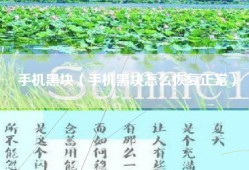 手机黑块（手机黑块怎么恢复正常）