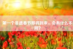 第一个非遗春节即将到来，会有什么不同？
