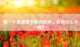 第一个非遗春节即将到来，会有什么不同？