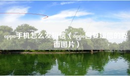 oppo手机怎么发短信（oppo回复短信的界面图片）