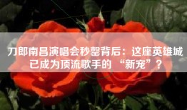 刀郎南昌演唱会秒罄背后：这座英雄城已成为顶流歌手的 “新宠”？