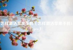 怎样激活苹果手机（怎样激活苹果手机14pro）