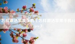 怎样激活苹果手机（怎样激活苹果手机14pro）