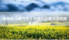 如何在《磁力宅》中进行下载任务的批量操作？