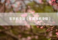 车手机支架（车载手机支架）